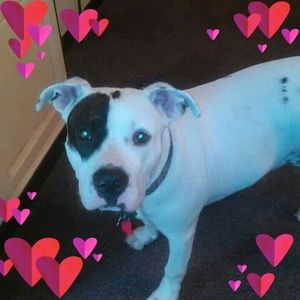 Meet your Posher, Jan